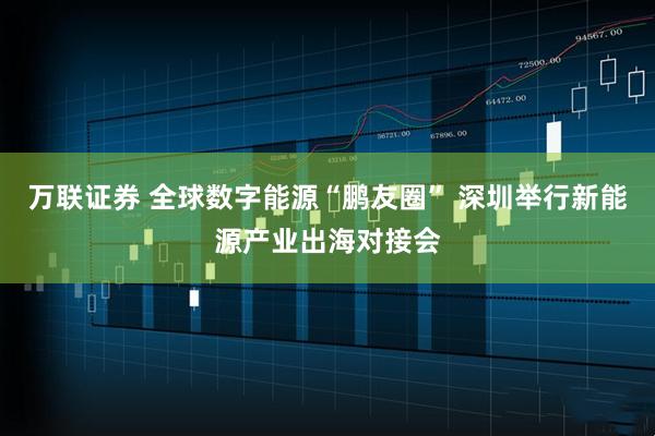 万联证券 全球数字能源“鹏友圈” 深圳举行新能源产业出海对接会