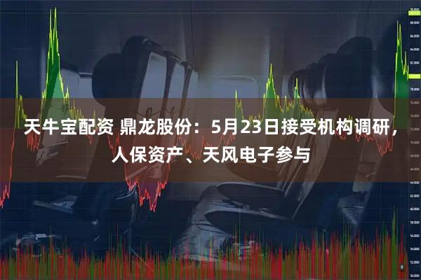 天牛宝配资 鼎龙股份：5月23日接受机构调研，人保资产、天风电子参与