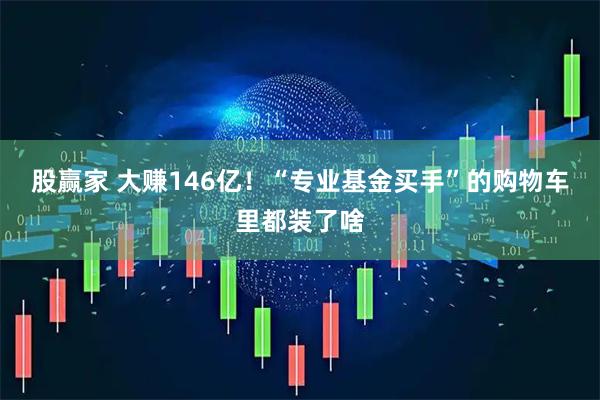 股赢家 大赚146亿!“专业基金买手”的购物车里都装了啥