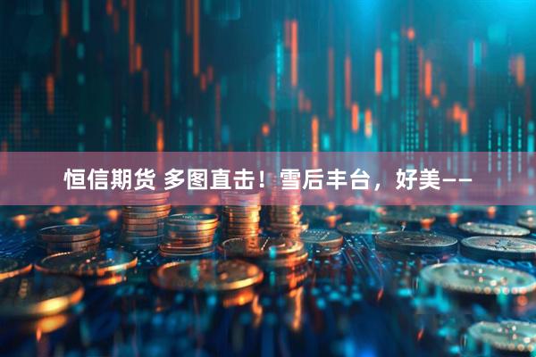 恒信期货 多图直击！雪后丰台，好美——
